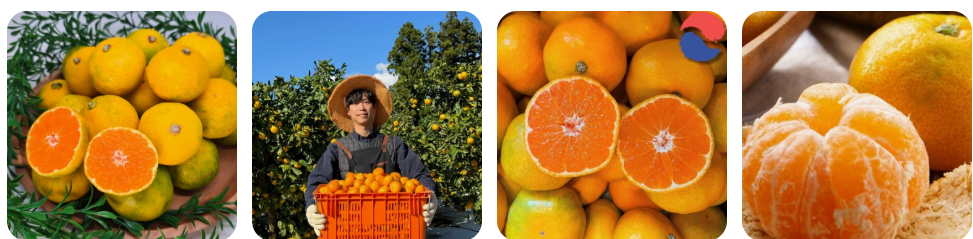 winter tangerines are a good choice