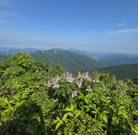 Hambaeksan Mountain in Korea: A Cool Summer Hike in Gangwon-do and One of the Best Mountains in South Korea