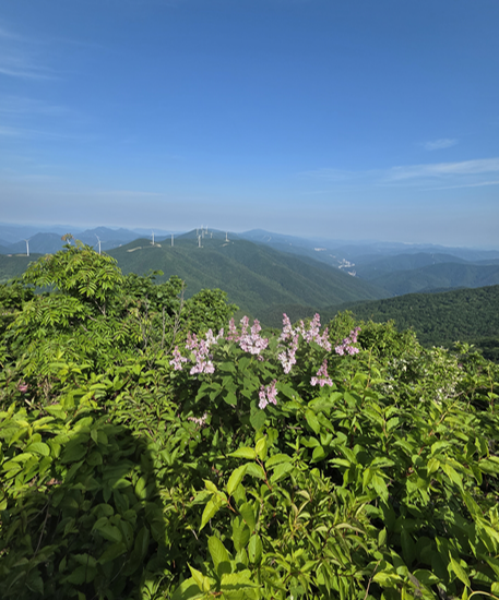 Hambaeksan Mountain in Korea: A Cool Summer Hike in Gangwon-do and One of the Best Mountains in South Korea