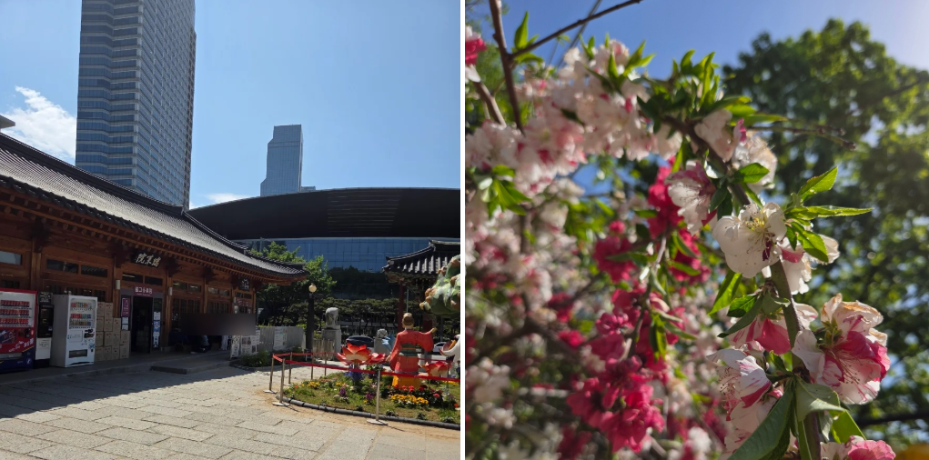 It is a beautiful picture of Korea with Bongeunsa Temple and modern buildings