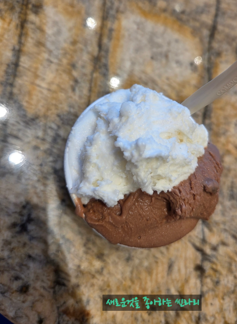 This is Icheon rice ice cream and chocolate ice cream that we ate at Gelatini, a premium ice cream brand that interprets Italian gelato in Korean.